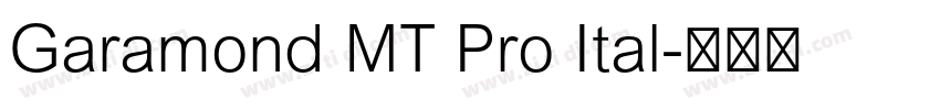Garamond MT Pro Ital字体转换
